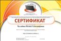 Сертификат о публикации электронного портфолио, 2020 год